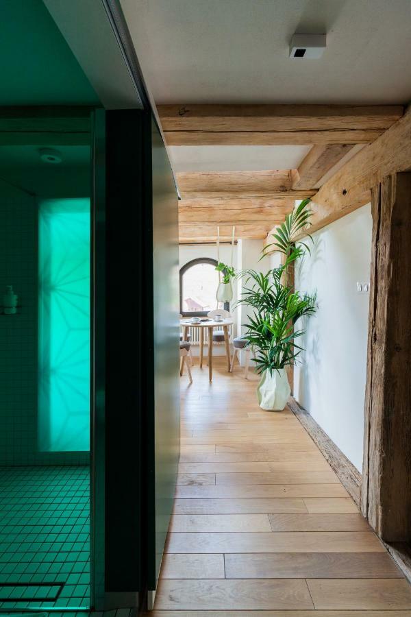 Apartamenty Monka Stary Toruń 외부 사진