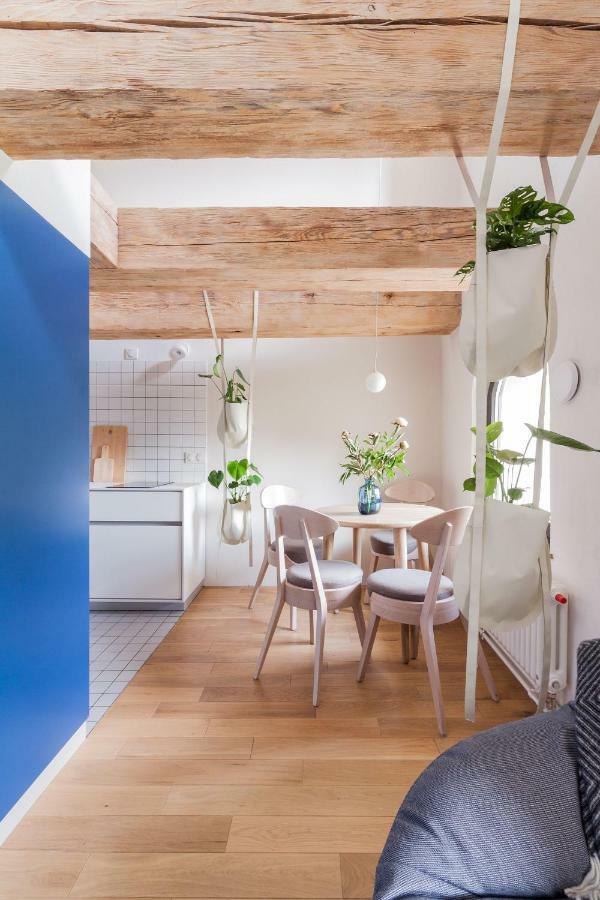 Apartamenty Monka Stary Toruń 외부 사진