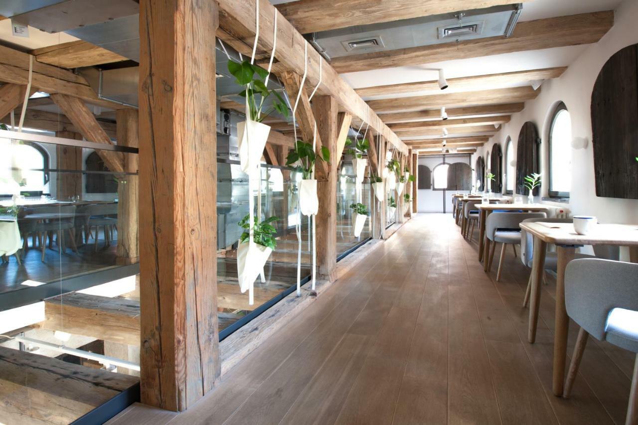 Apartamenty Monka Stary Toruń 외부 사진